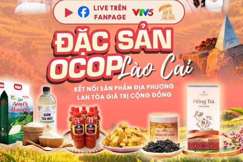 Mega Livestream quảng bá OCOP Lào Cai thu hút hơn 2.000 sản phẩm