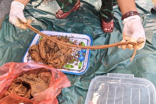 Đà Nẵng: Phát hiện ví da, bàn chải và nhiều di vật trong mộ tập thể