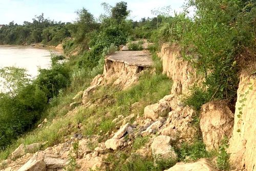 Nghệ An: Khẩn trương gia cố các tuyến đê xung yếu trước mùa mưa bão