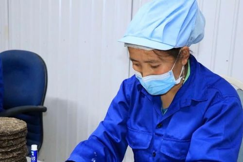 Nâng tầm đặc sản vùng cao, tạo sinh kế bền vững cho đồng bào