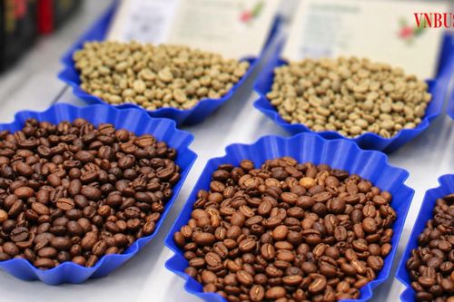 Vùng đất Đức Lập đổi nếp nghĩ, nâng giá trị cà phê