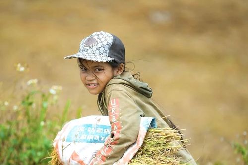 Tích hợp chương trình mục tiêu quốc gia nhưng không để chính sách dân tộc bị hòa tan