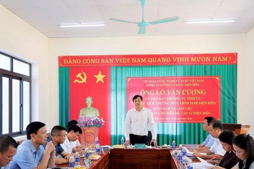 Công ty Cổ phần Cao su Điện Biên đặt mục tiêu doanh thu 288 tỷ đồng trong năm 2026