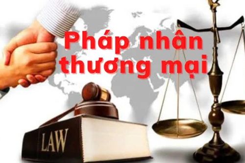 Hoàn thiện pháp luật hình sự về pháp nhân thương mại phù hợp yêu cầu thực tiễn