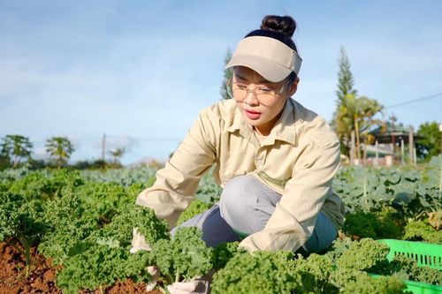Tháo gỡ khó khăn cho nông nghiệp hữu cơ