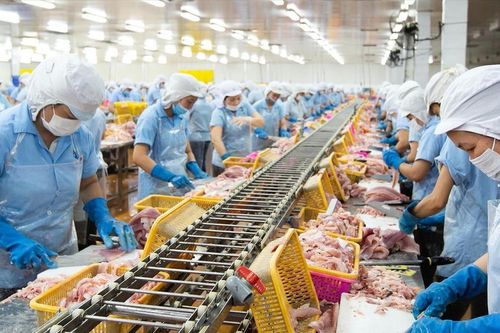 Lãnh đạo Navico (ANV) tiếp tục đăng ký mua 1 triệu cổ phiếu ANV giữa vùng giá thấp