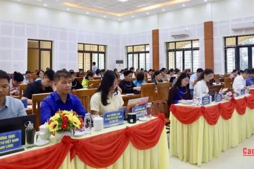 Bàn giải pháp nâng cao năng lực cán bộ phụ nữ cơ sở trong triển khai Dự án 8