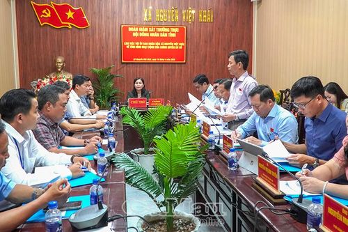 HĐND tỉnh giám sát hoạt động của chính quyền cơ sở