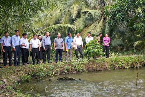 Đoàn kiểm tra Trung ương Hội Nông dân Việt Nam kiểm tra công tác hội cơ sở tại Cà Mau