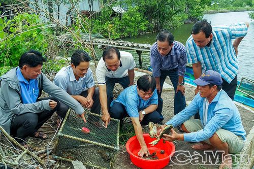 Chuyển đổi kép 'xanh, số': Con đường phát triển bền vững