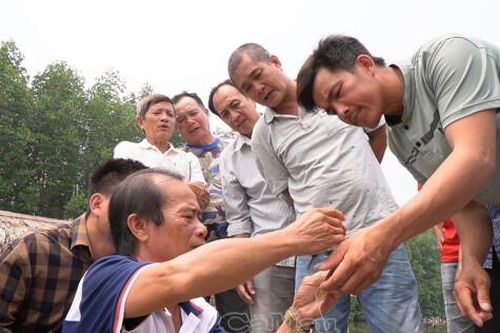 Chuyển giao kỹ thuật mới trong nuôi tôm, cua quảng canh cải tiến