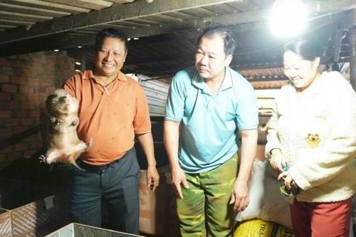 Mô hình nuôi Dúi mang lại hiệu quả kinh tế cao ở xã biên giới Quảng Trực