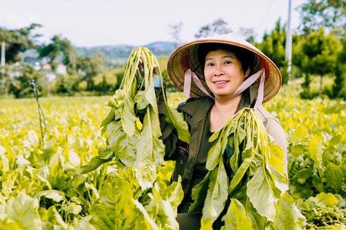 Nông nghiệp hữu cơ: Thúc đẩy tiêu dùng sạch, phát triển kinh tế xanh