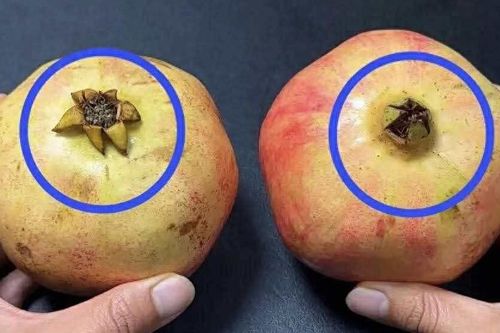 Mua lựu, nhớ 4 mẹo này để chọn quả mọng nước, hạt căng, hạn chế mua phải quả nhạt