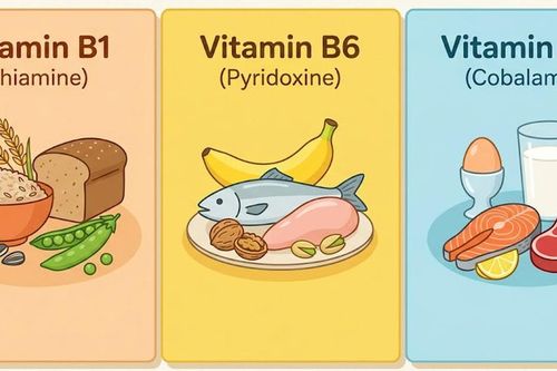 Vitamin 3B - Khi nào cần bổ sung và hướng dẫn sử dụng đúng cách
