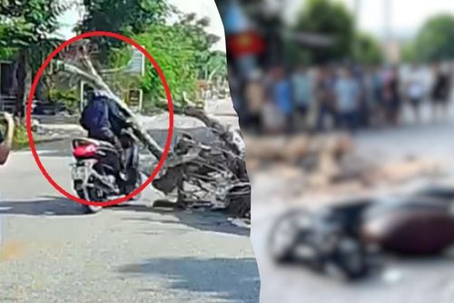 Vụ cưa cây làm chết người: Gia đình nạn nhân xin giảm nhẹ cho người liên quan