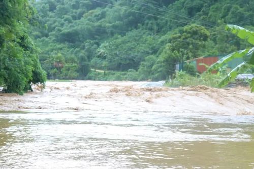 Phú Thọ, Ninh Bình, Thanh Hóa khẩn trương ứng phó lũ trên các sông