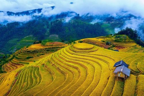 Lào Cai hướng tới xây dựng hệ sinh thái du lịch thông minh