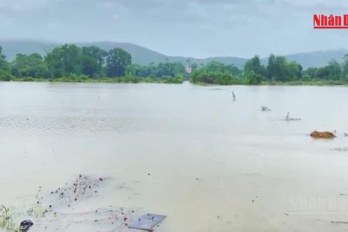 [Video] Hà Nội và nhiều tỉnh tiếp tục mưa lớn, có nơi trên 250mm
