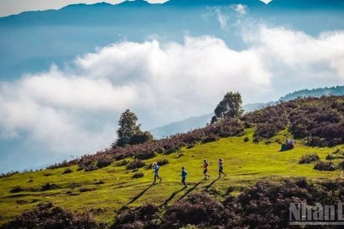 Giải chạy địa hình vượt núi Vietnam Mountain Marathon 2026 hứa hẹn bùng nổ tại Sa Pa