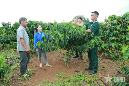 Khi tri thức 'bén rễ' ở các khu Kinh tế - Quốc phòng-Bài 2: Để tri thức ở lại với khu kinh tế - quốc phòng (Tiếp theo và hết)