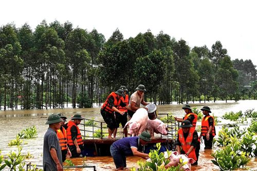 Quân khu 1 chủ động ứng phó mưa lớn, thiên tai trên địa bàn