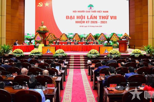 Người cao tuổi phát huy mạnh mẽ tinh thần 'Tuổi cao - Gương sáng' trong xây dựng, phát triển đất nước