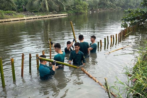 Cà Mau: Dân quân cơ động khẩn cấp xử lý sạt lở tuyến kênh Biện Tràng