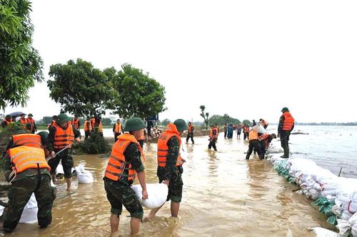 Hàng trăm cán bộ, chiến sĩ Lữ đoàn Xe tăng 201 giúp nhân dân phòng, chống lụt bão