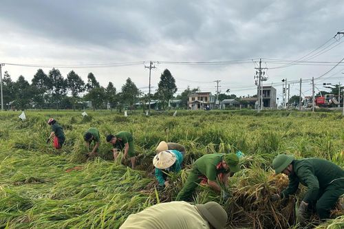 Hành trình không có điểm dừng