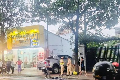 Đồng Nai: Khởi tố vụ tai nạn giao thông làm 2 người thương vong