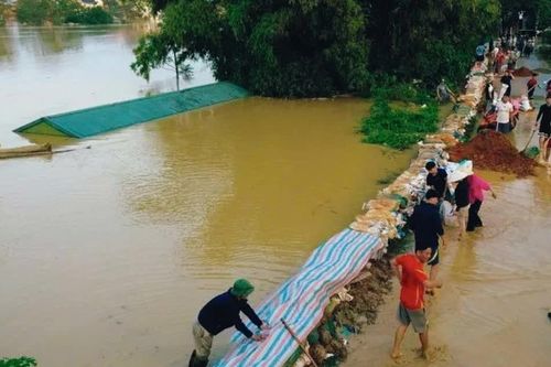 Lũ sông Bùi vượt báo động III, Hà Nội khẩn trương bảo vệ đê và dân cư