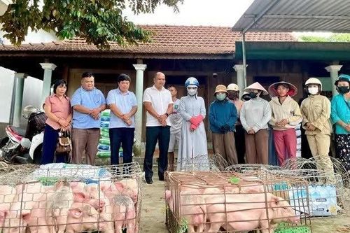 Bứt phá từ cách làm hay: Chuyện giảm nghèo bền vững ở vùng cao A Lưới 1