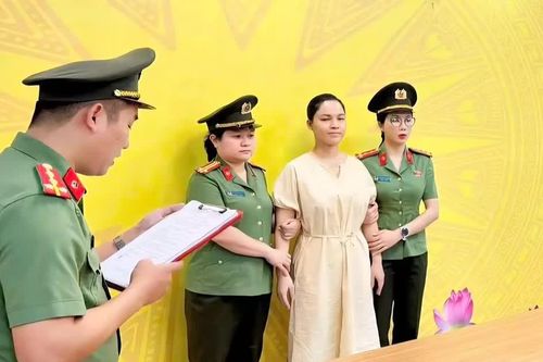 Khởi tố nữ giám đốc công ty du lịch liên quan việc trốn thuế hàng tỷ đồng