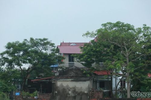 Mưa lũ khiến 1.550 nhà ngập, hàng trăm hộ dân phải sơ tán