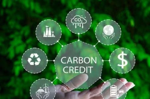 Hà Nội thiết lập cơ chế liên ngành để vận hành thị trường carbon