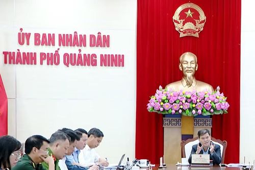 Quảng Ninh nghiên cứu tuyến đường 22.000 tỷ, hướng tới tổ hợp y tế - đào tạo - nhà ở