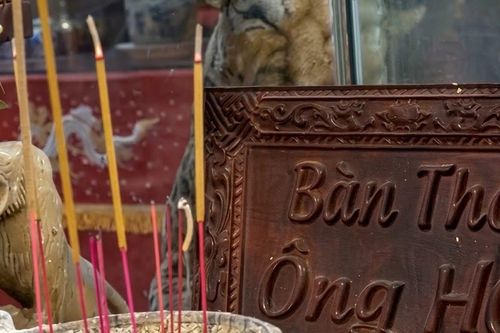 Từ ác thú đến thần bảo hộ: Hành trình kỳ lạ của hổ trong tín ngưỡng Việt