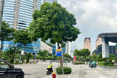 Chồng làm 14-16 tiếng mỗi ngày, gần nửa đêm vẫn sợ về nhà vì một lý do