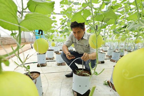 Doanh nghiệp ứng dụng AI được Nhà nước tài trợ tới 3 tỷ đồng