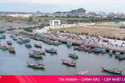 Sau áp thấp, ngư dân Hà Tĩnh trúng nhiều hải sản giá trị