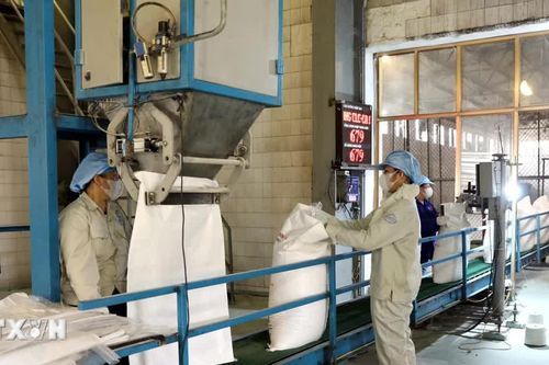 Tuyên Quang xây dựng mô hình phát triển mới, tạo động lực tăng trưởng dài hạn