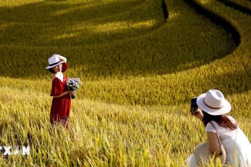 Lào Cai từng bước hình thành hệ sinh thái du lịch thông minh