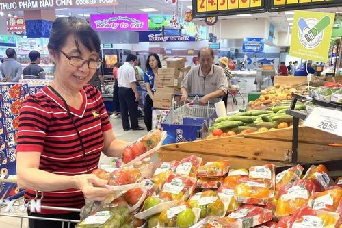 Việt Nam tích cực chuẩn bị tham gia Triển lãm xanh thế giới 2027 tại Nhật Bản