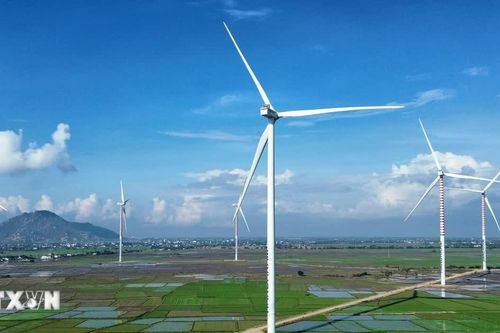 Quảng Trị đón thêm 400 MW điện gió, vốn đầu tư hơn 15.000 tỷ đồng