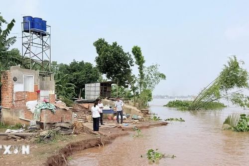 Sạt lở bờ sông đe dọa hàng nghìn hộ dân ở An Giang