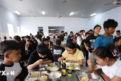 Bữa ăn bán trú: Công khai nguồn thực phẩm, thực đơn và khay ăn hằng ngày