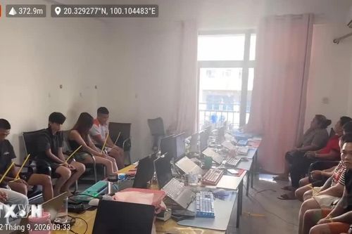 Lào Cai: Triệt phá băng nhóm lừa đảo xuyên quốc gia tại tỉnh Bokeo của Lào