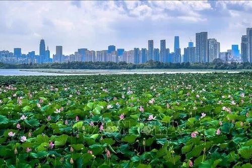 Trung Quốc đặt cược vào nhà thông minh để thúc đẩy tiêu dùng