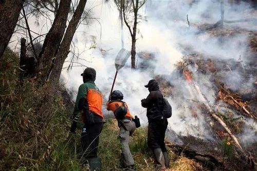 Những phụ nữ ở tuyến đầu chống cháy rừng trên đảo Borneo ở Indonesia